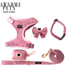 Collection image for: Collar and Harness bundles