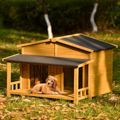 Collection image for: Dog House's