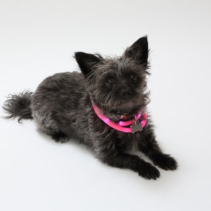 Silicone Cuttable LED Illuminated Dog Collar - USB Rechargeable - Pink