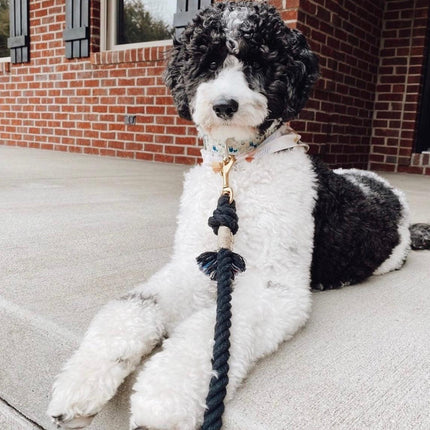 Rope Leash - Noir