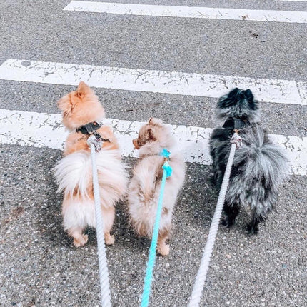 Rope Leash - Natural