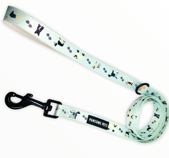 Leash - Dapper Doggy