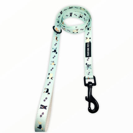 Leash - Dapper Doggy