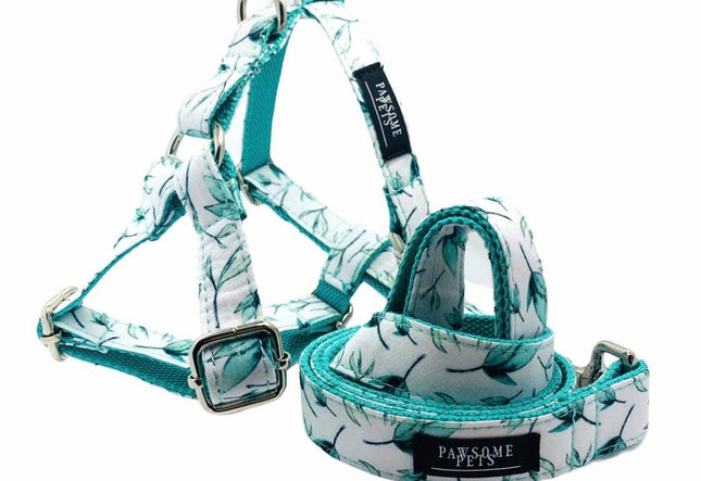 Step in Bundle - Mint Leaf (2 Pieces)