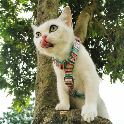 Step in Bundle - Tropical (2 Pieces)