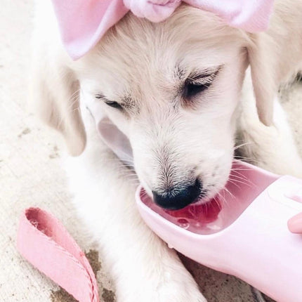 2 in 1 Portable Pet Feeder - Pink