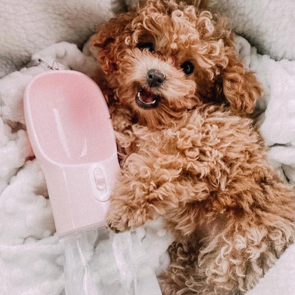 2 in 1 Portable Pet Feeder - Pink