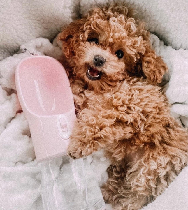 2 in 1 Portable Pet Feeder - Pink