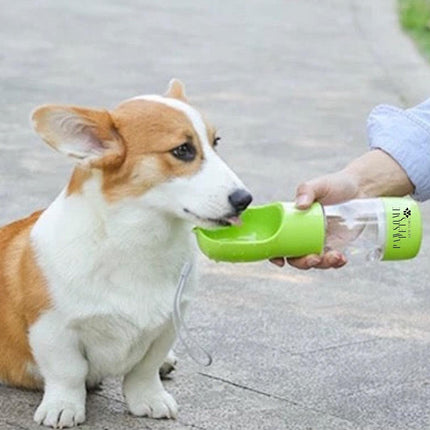 2 in 1 Portable Pet Feeder - Green
