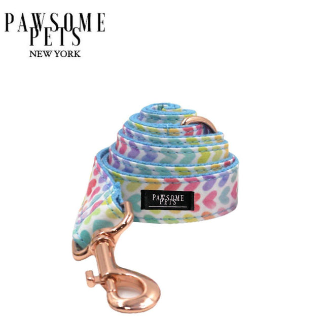 Leash -  Rainbow - Blue - Gold