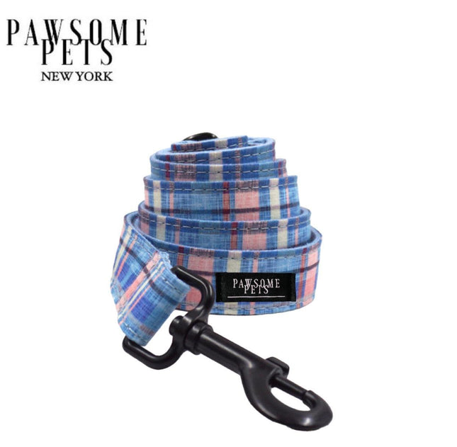 Leash -  Blue Stripe