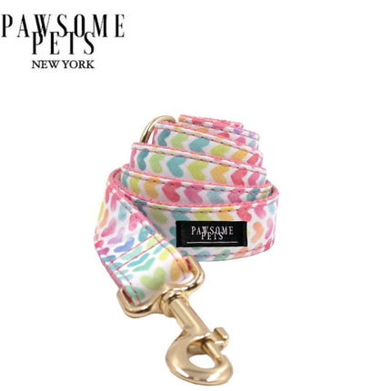 Leash -  Rainbow - Pink - Gold