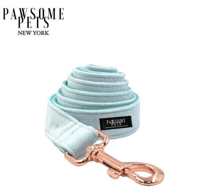 Leash - Mint Green