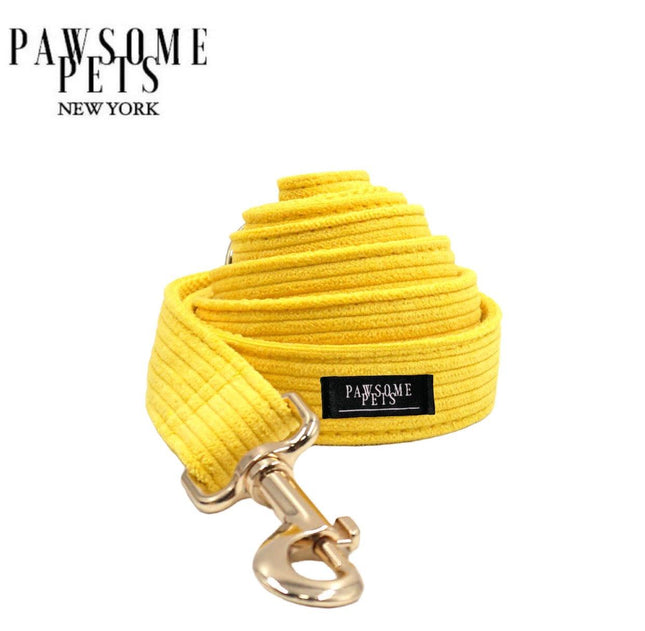 Leash - Bright Yellow