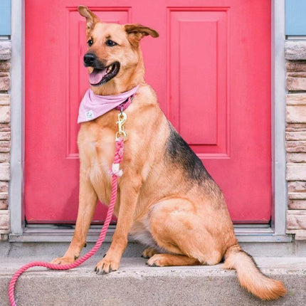 Dog Rope Leash - Watermelon Red