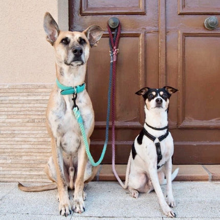 Rope Leash - Bridgette