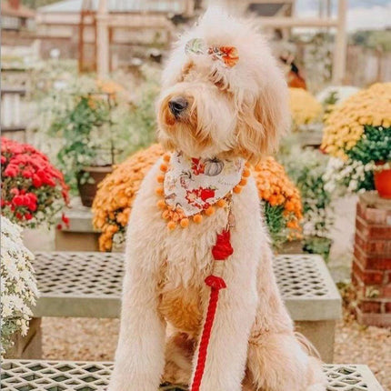 Dog Rope Leash - Watermelon Red