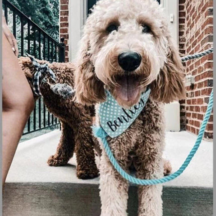 Dog Rope Leash - Watermelon Red