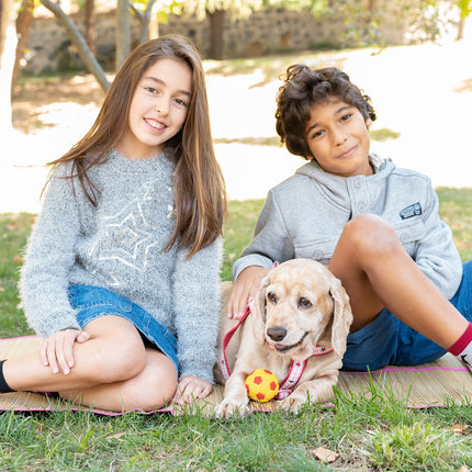 Kids Shadow Dog  Socks