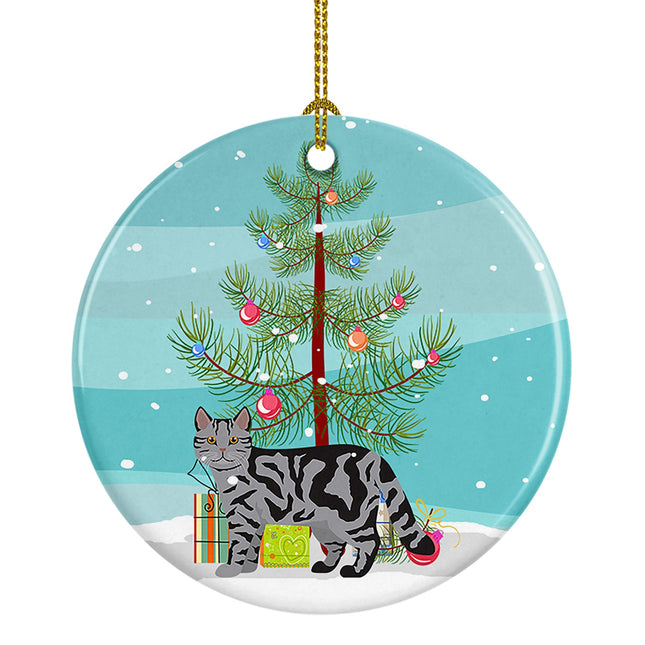 Scottish Straight Cat Christmas Ceramic Ornament