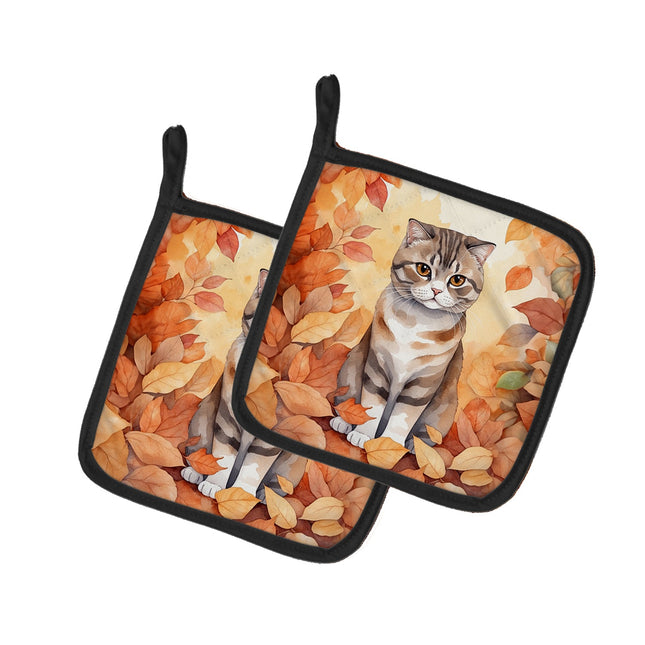 Scottish Fold Cat in Fall Leaves Pair of Pot Holders