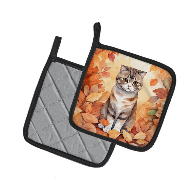 Scottish Fold Cat in Fall Leaves Pair of Pot Holders