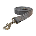 Dog Leash / M
