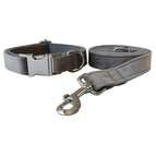 Dog Collar Leash Set / M