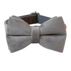 Bow Collar / M