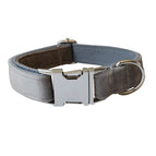 Dog Collar / M