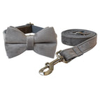 Bow Collar Leash Set / M