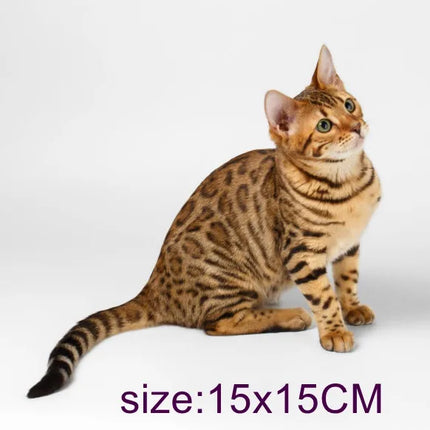 Tri Mishki WCS629  Bengal Cat Siberian Cat Funny Car Stickers Auto Automobile Decals