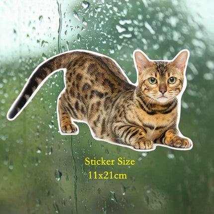 Tri Mishki WCS629  Bengal Cat Siberian Cat Funny Car Stickers Auto Automobile Decals