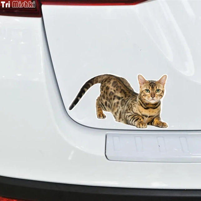 Tri Mishki WCS629  Bengal Cat Siberian Cat Funny Car Stickers Auto Automobile Decals