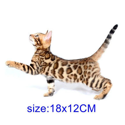 Tri Mishki WCS629  Bengal Cat Siberian Cat Funny Car Stickers Auto Automobile Decals