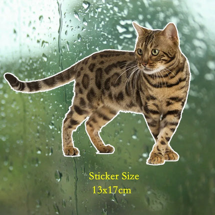 Tri Mishki WCS629  Bengal Cat Siberian Cat Funny Car Stickers Auto Automobile Decals
