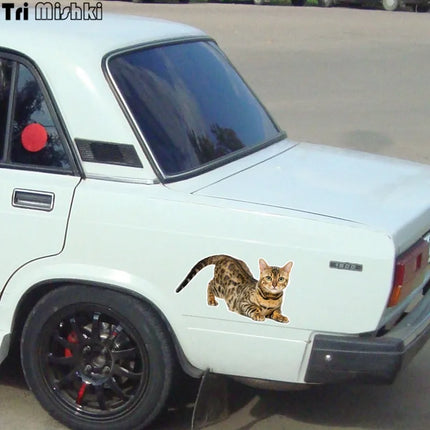 Tri Mishki WCS629  Bengal Cat Siberian Cat Funny Car Stickers Auto Automobile Decals
