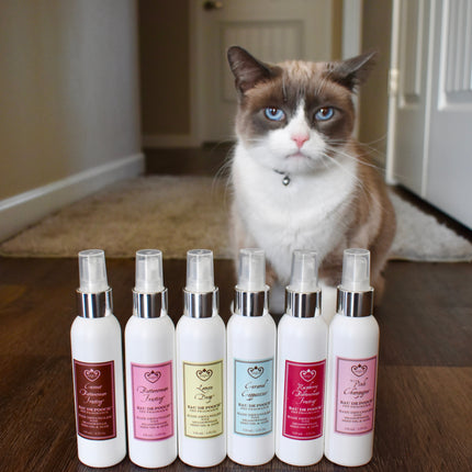 Raspberry Buttercream Frosting Eau De Pooch Pet Fragrance and Hair Detangler Spray