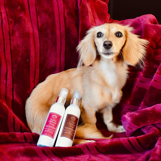 Raspberry Buttercream Frosting Eau De Pooch Pet Fragrance and Hair Detangler Spray