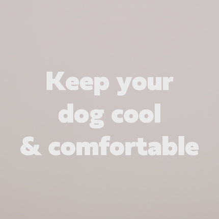 ICE BAND - Dog Cooling Bandana - Blue